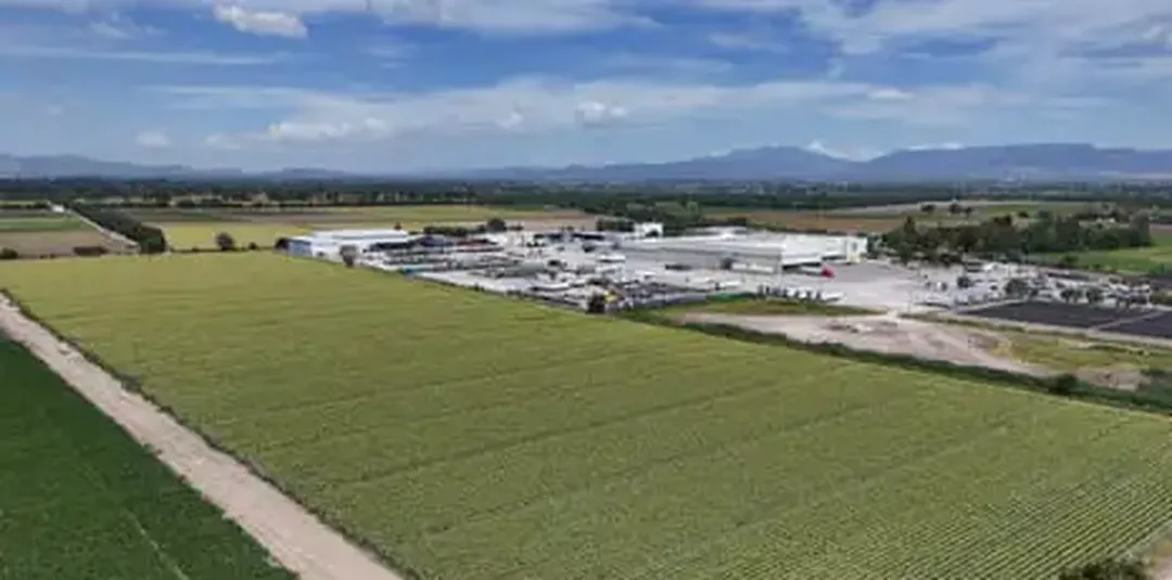 Cyclospora Found at Mexican Farm Linked to Lettuce Outbreak, FDA Says