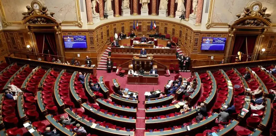 Élections Sénatoriales : La Droite Sous Presse, le RN en Quête D'Un Groupe