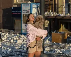 Ukraine War Briefing: Nine Killed and Dozens Wounded In Russian Strikes As Kyiv Braces for Harsh Winter