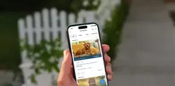 Amazon’s Ring Wants to Replace Local Whatsapp Groups. It’s a Recipe for Curtain-Twitching Disaster | Imogen West-Knights