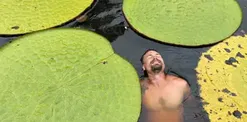 How a Plant Selfie in Colombian Jungle Led to ‘Jaw Dropping’ Giant Waterlily Find