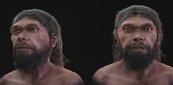İlk Homo Sapiens'in Yüzü Nasıl Görünüyordu?