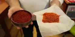 Kilosu 900 Bin TL: O Ürünün El Yakan Fiyatının Arkasındaki Gerçek