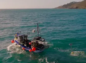 Floating Scarecrows: How Cornish Fishers Are Stopping Seabirds Drowning in Their Nets