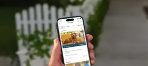 Amazon’s Ring Wants to Replace Local Whatsapp Groups. It’s a Recipe for Curtain-Twitching Disaster | Imogen West-Knights