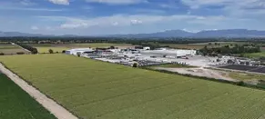 Cyclospora Found at Mexican Farm Linked to Lettuce Outbreak, FDA Says