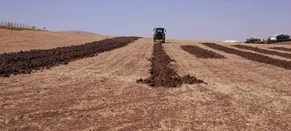 Diyarbakır'da uygulanan proje çiftçilere tarlasını sürücüsüz traktörle ekme imkanı sunacak