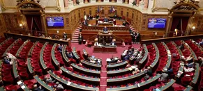 Élections Sénatoriales : La Droite Sous Presse, le RN en Quête D'Un Groupe
