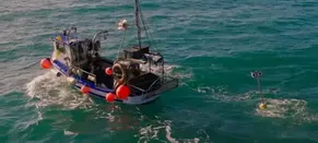 Floating Scarecrows: How Cornish Fishers Are Stopping Seabirds Drowning in Their Nets