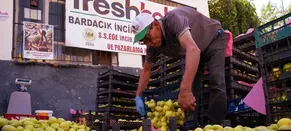 Güçlerini birleştiren İzmirli çiftçiler, bölgeye özgü Bardakçık incirinde pazar sorununu aştı