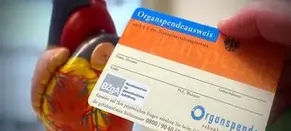 Kommen Neue Organspende-Regeln?