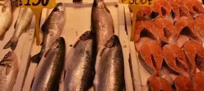 Trabzon'da tezgahları somon ve alabalık süslüyor