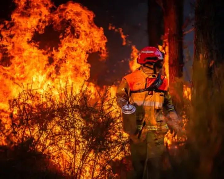 France Confronts Arson Problem After Devastating Summer of Wildfires