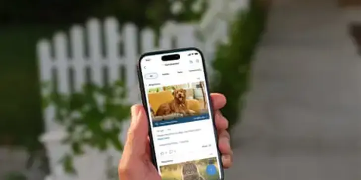 Amazon’s Ring Wants to Replace Local Whatsapp Groups. It’s a Recipe for Curtain-Twitching Disaster | Imogen West-Knights