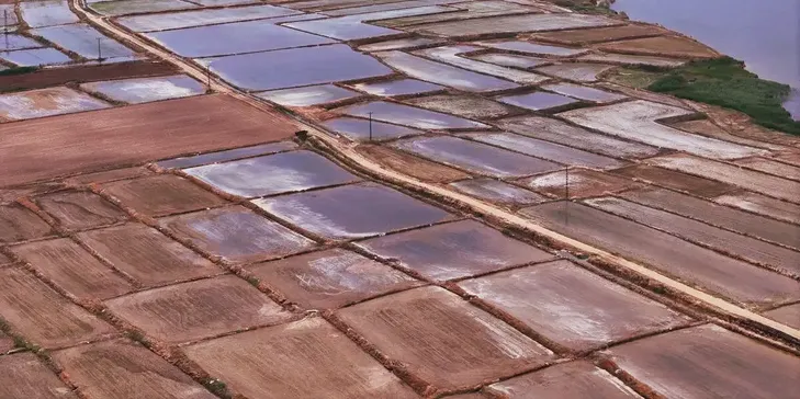 Edirne'de çeltik ekim alanı 450 bin dekara ulaştı