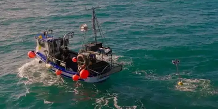 Floating Scarecrows: How Cornish Fishers Are Stopping Seabirds Drowning in Their Nets