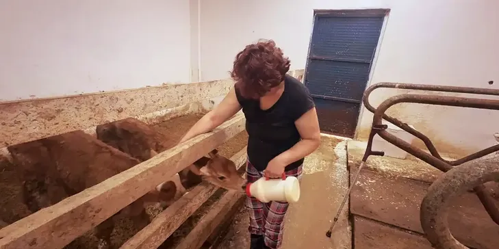Giresun'da hastalıktan ari üç hayvancılık tesisine destek verildi Giresun'da hastalıktan ari üç hayvancılık tesisine destek verildi
