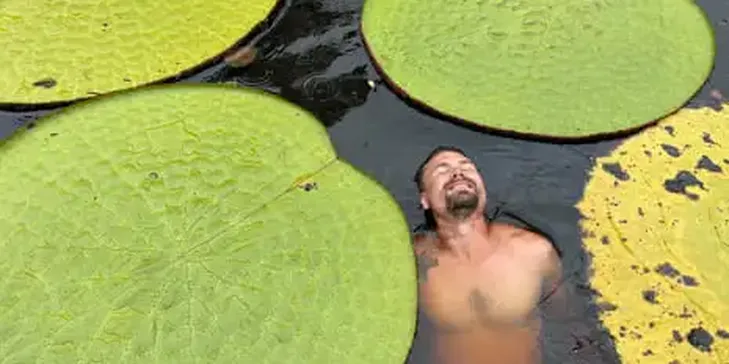 How a Plant Selfie in Colombian Jungle Led to ‘Jaw Dropping’ Giant Waterlily Find