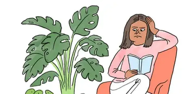 Is It True that … Houseplants Freshen the Air in Our Homes and Offices?
