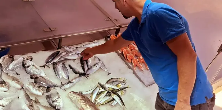 Sinop'ta palamutlar tanesi 350 liradan tezgahlarda satışa sunuldu Sinop'ta palamutlar tanesi 350 liradan tezgahlarda satışa sunuldu