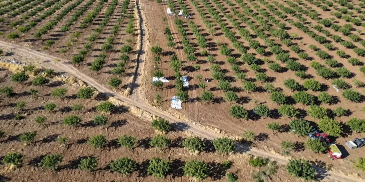 Yeşil Altında Hasat Başladı: Olumsuz Hava Üretimi Vurdu