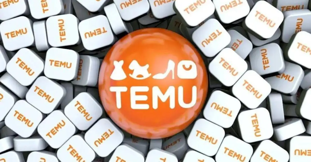 Gümrük Engelini Aşan Temu Türkiye'ye Geri Döndü