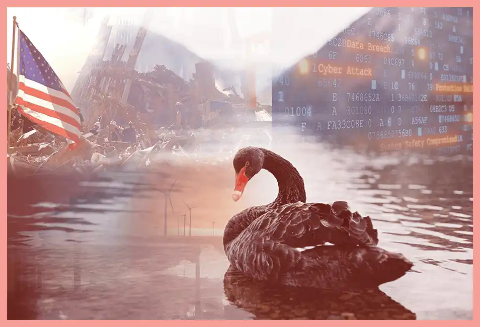 Borsada Siyah Kuğu (Black Swan) Nedir?: Örnekleri ve Tarihi ile Açıklama